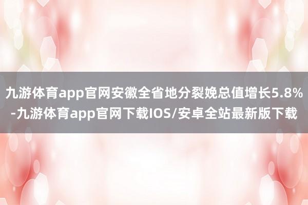 九游体育app官网安徽全省地分裂娩总值增长5.8%-九游体育app官网下载IOS/安卓全站最新版下载